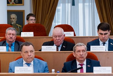 Закон по бродячим собакам принят